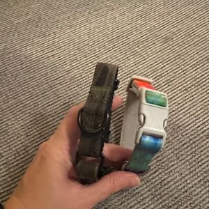 Dog Collars - Size Small